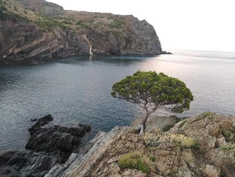 Sant Jordi Santiago Apartment Tossa de Mar Ngoại thất bức ảnh